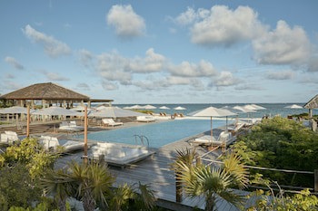 Como Parrot Cay