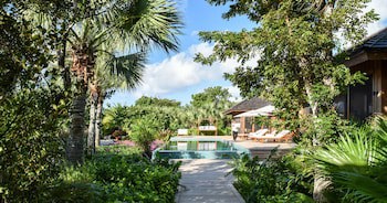 Como Parrot Cay