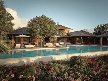 Como Parrot Cay