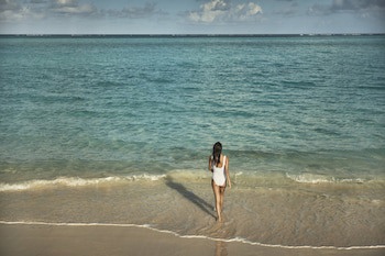 Como Parrot Cay