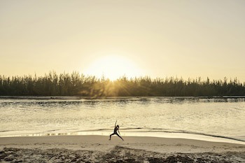 Como Parrot Cay