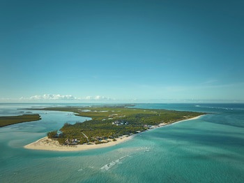 Como Parrot Cay