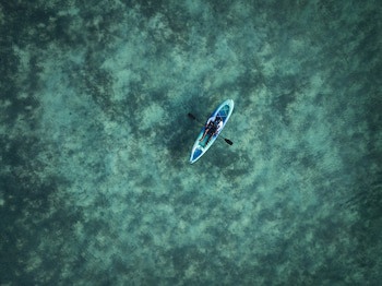 Como Parrot Cay
