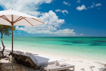 Como Parrot Cay