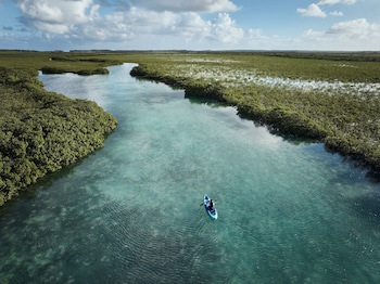 Como Parrot Cay