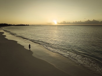 Como Parrot Cay