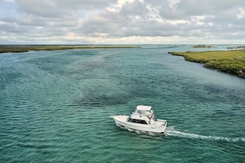 Como Parrot Cay