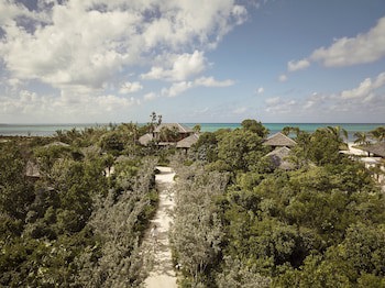 Como Parrot Cay