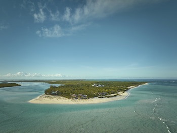Como Parrot Cay