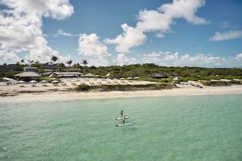 Como Parrot Cay