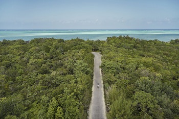 Como Parrot Cay