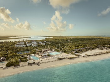 Como Parrot Cay