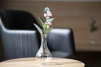 Best Western Plus Hotel Odense