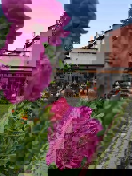 Kastamonu Kadıoğlu Konağı