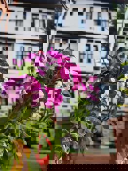 Kastamonu Kadıoğlu Konağı