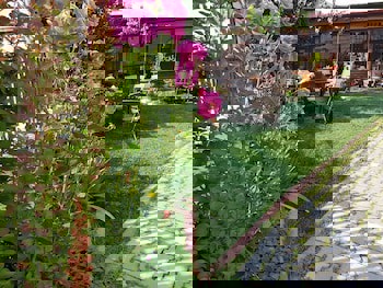 Kastamonu Kadıoğlu Konağı