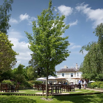 The Vineyard
