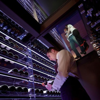 The Vineyard