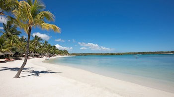 Constance Prince Maurice