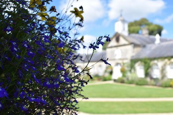 Lucknam Park Hotel & Spa