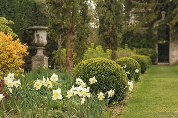 Lucknam Park Hotel & Spa