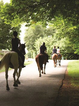 Lucknam Park Hotel & Spa