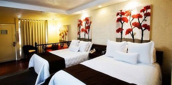 Nehotel Nueva Estancia