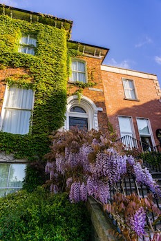 Butlers Townhouse