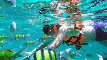 Phi Phi Holiday Resort