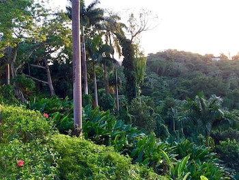 Goblin Hill Villas At San San
