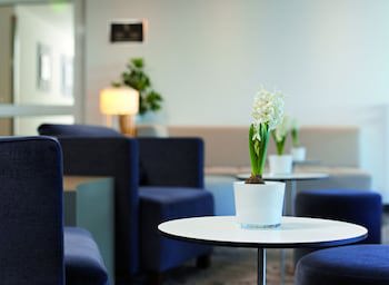 Sachsenpark Hotel fotoğrafı
