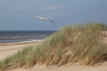 Two Brothers Noordwijk Beach