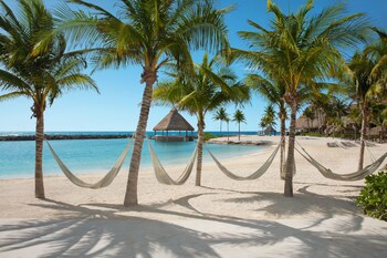 Dreams Aventuras Riviera Maya - All Inclusive