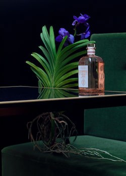 Hotel Damier