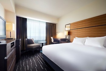 Ana Crowne Plaza Chitose, An Ihg Hotel
