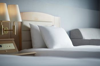 Ana Crowne Plaza Chitose, An Ihg Hotel