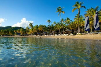 Curtain Bluff Resort - All Inclusive