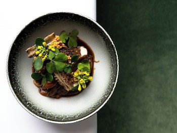Stiemerheide - The Urban Hotel & Golf Retreat