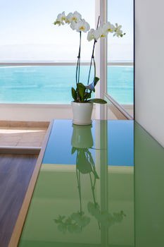 Vert Dead Sea