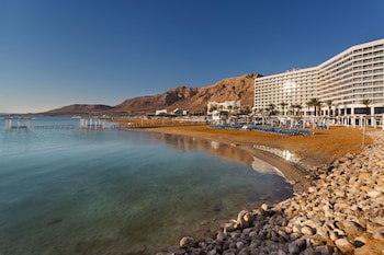Vert Dead Sea