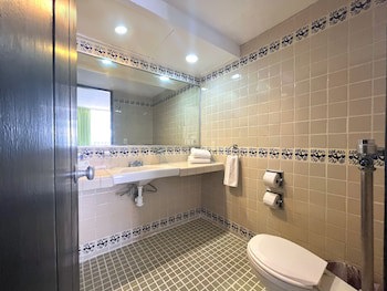 Hotel Delfin Pv Beach Resort