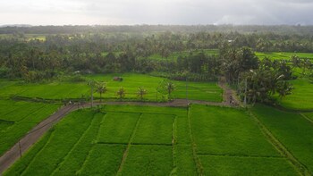 Alila Ubud. Bali