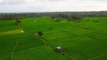 Alila Ubud. Bali