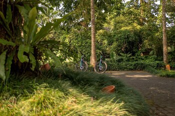 Alila Ubud. Bali