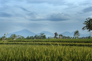 Alila Ubud. Bali