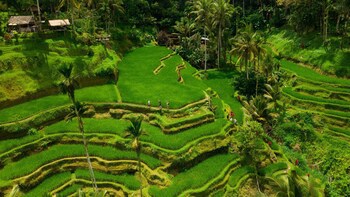 Alila Ubud. Bali