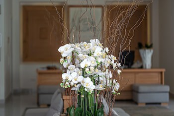 Nissaki Boutique Hotel fotoğrafı