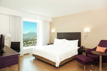 Fiesta Inn Periferico Sur