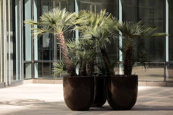 Park Hyatt Mendoza