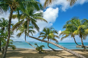The Buccaneer Beach & Golf Resort